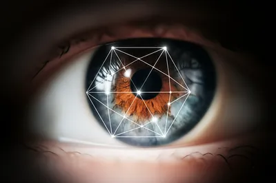 Illustration insights - Image 1