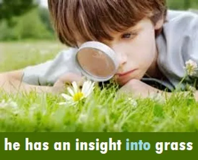 Illustration into - Image 2