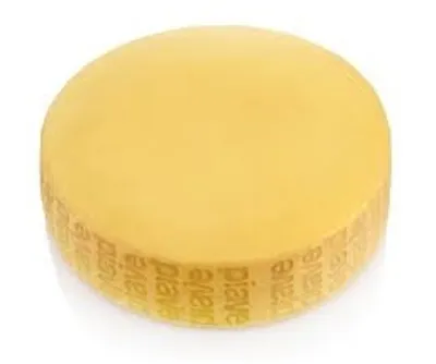 Illustration wheel - Image 2