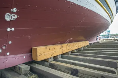 Illustration spurs - Image 1