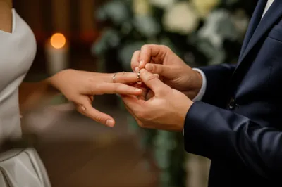 Illustration seals - Image 1