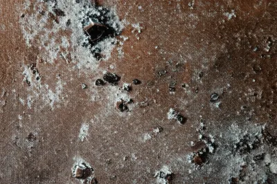 Illustration spew - Image 1