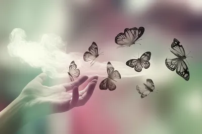 Illustration elusive - Image 1