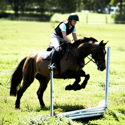 Illustration horseriding