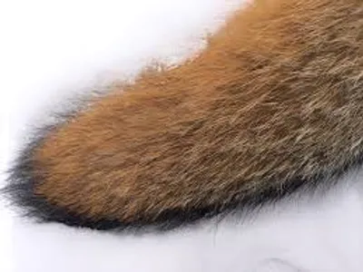 Illustration brush - Image 2