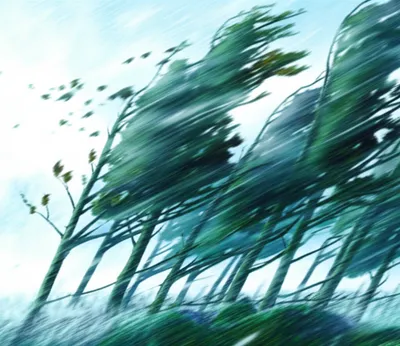 Illustration northern - Image 1