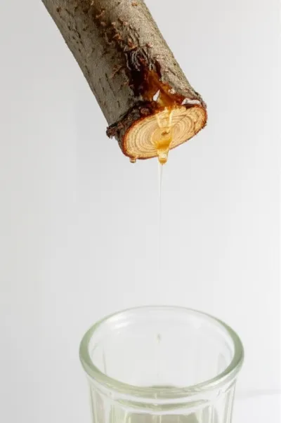 Illustration ooze - Image 1