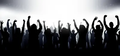 Illustration viva - Image 1