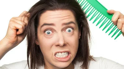 Illustration utilised - Image 1