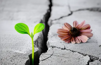 Illustration whack - Image 1