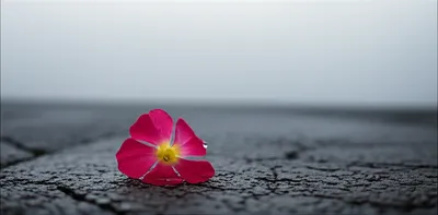 Illustration unfair - Image 1