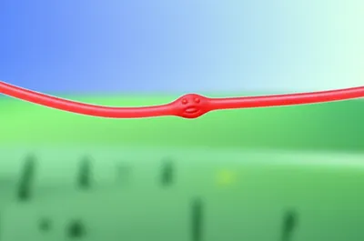 Illustration stretched - Image 1