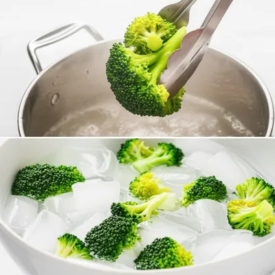 Illustration blanched - Image 1