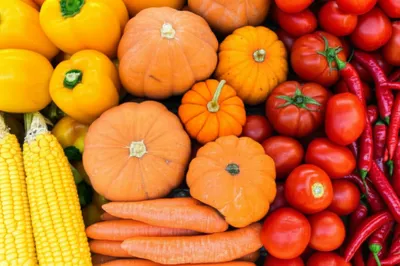 Illustration carotenes