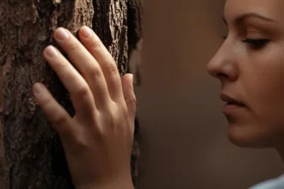 Illustration felt - Image 1