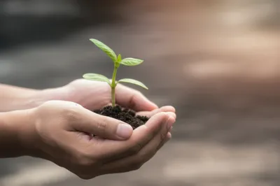 Illustration complies - Image 1