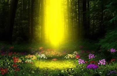 Illustration lightening - Image 1