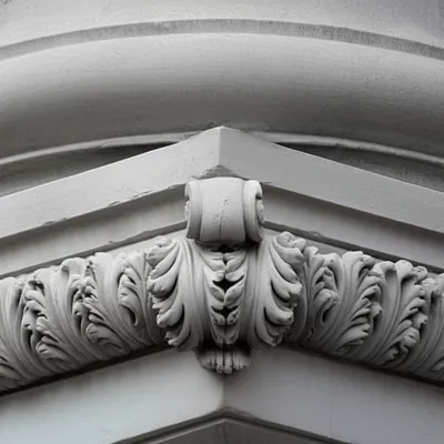 Hình ảnh minh họa sp - Ảnh 1