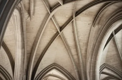 Illustration nervures - Image 1