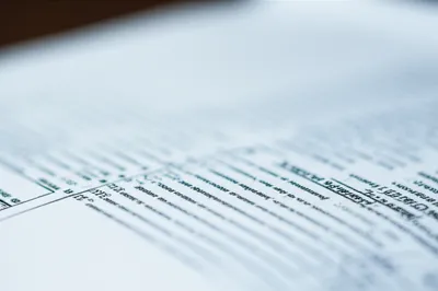 Illustration mackle - Image 1