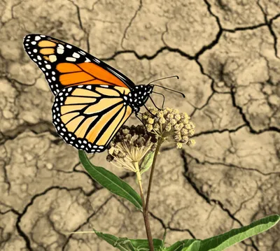 Illustration threatened - Image 1