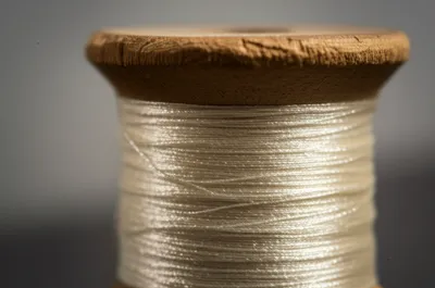 Illustration singles - Image 1