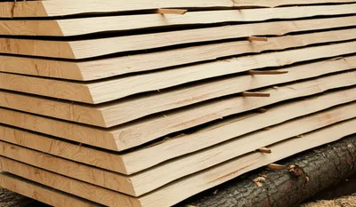 Illustration boules - Image 1