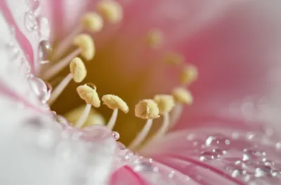 Illustration wettest - Image 1