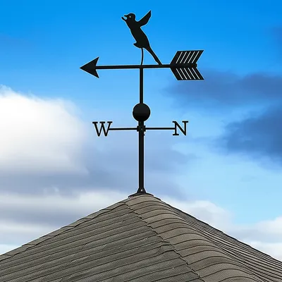 Hình ảnh minh họa likelihood - Ảnh 1