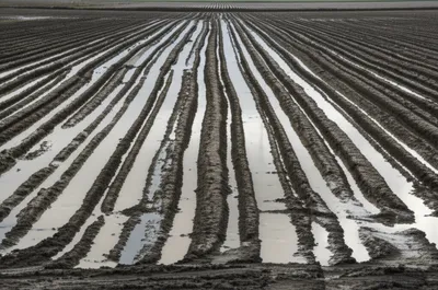 Illustration trenches - Image 1