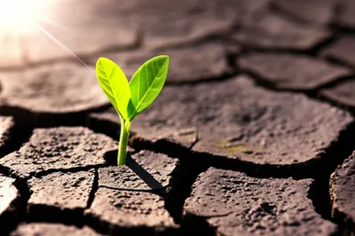 Illustration ab - Image 1