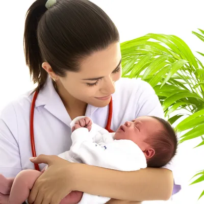 Illustration nourishes