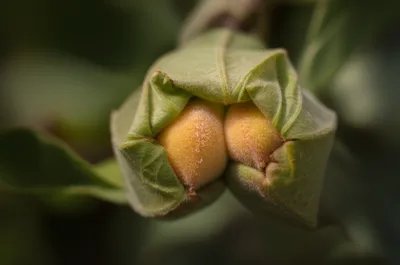 Illustration testes - Image 1