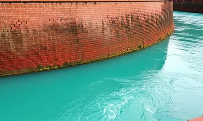 Illustration abrogating - Image 1