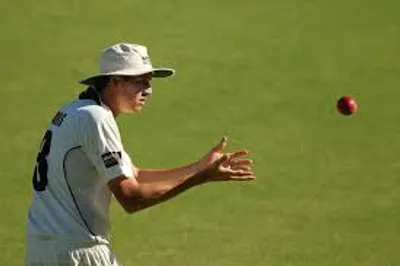 Illustration field - Image 3