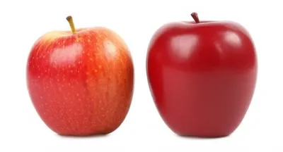 Illustration ersatz - Image 1