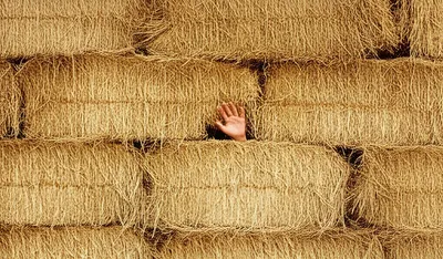 Illustration bails - Image 1