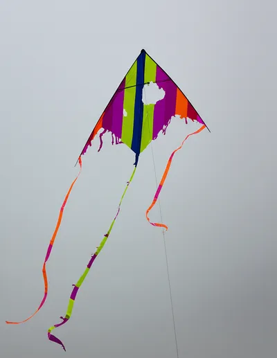 Illustration tatters - Image 1