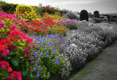 Illustration achromatic - Image 2