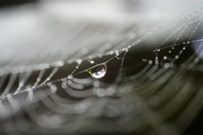 Illustration trembles