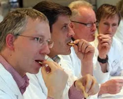 Illustration taster - Image 2