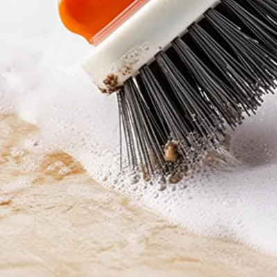 Illustration scrub - Image 1