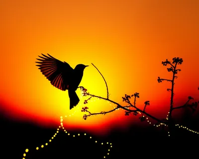 Illustration alighted - Image 1