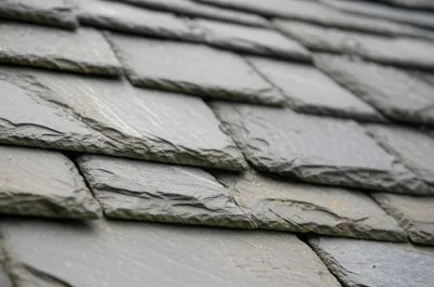 Illustration tails - Image 1