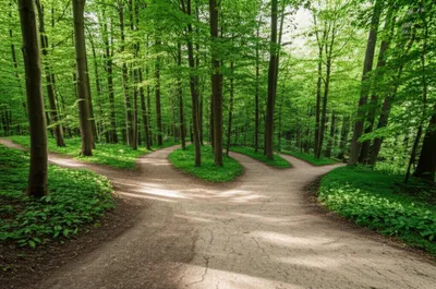 Illustration indeterminism - Image 1