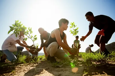 Illustration reparation