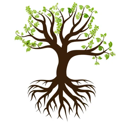 Illustration ancestor - Image 1