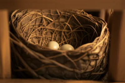 Illustration casing - Image 1