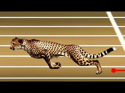 Illustration soonest - Image 1