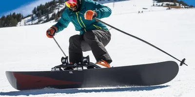 Illustration monoski - Image 1